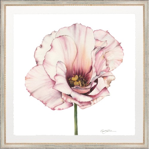 CD- BLOOM 3